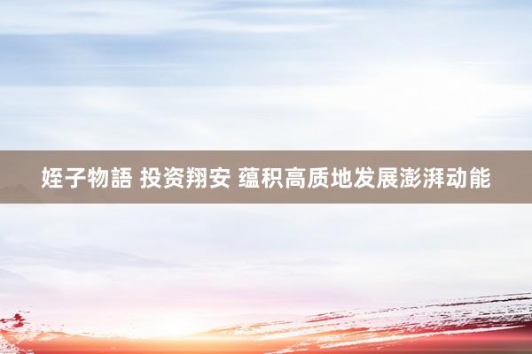 姪子物語 投资翔安 蕴积高质地发展澎湃动能