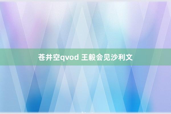 苍井空qvod 王毅会见沙利文