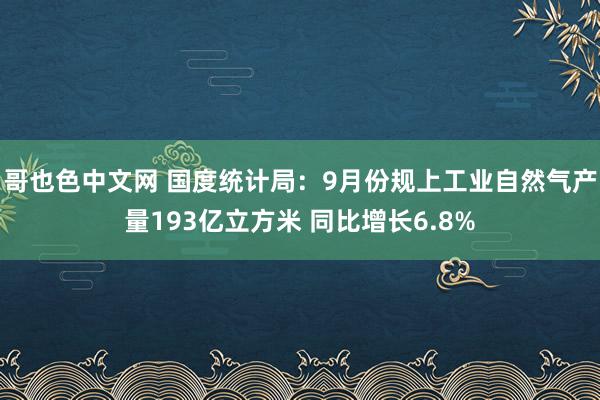 哥也色中文网 国度统计局：9月份规上工业自然气产量193亿立方米 同比增长6.8%