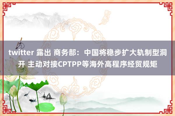 twitter 露出 商务部：中国将稳步扩大轨制型洞开 主动对接CPTPP等海外高程序经贸规矩