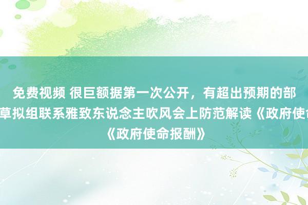 免费视频 很巨额据第一次公开，有超出预期的部分……草拟组联系雅致东说念主吹风会上防范解读《政府使命报酬》