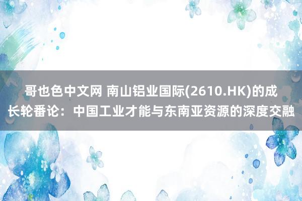 哥也色中文网 南山铝业国际(2610.HK)的成长轮番论：中国工业才能与东南亚资源的深度交融