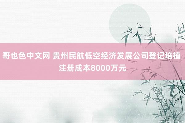 哥也色中文网 贵州民航低空经济发展公司登记培植 注册成本8000万元